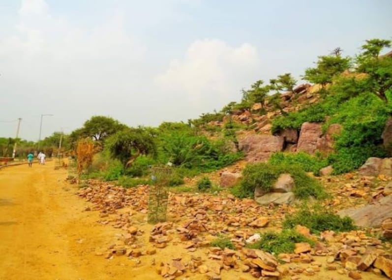 Govardhan Hill-1
